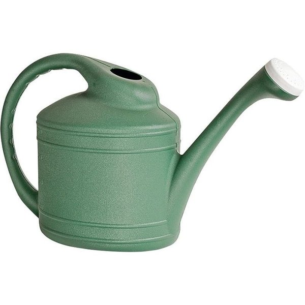 Southern Patio Watering Can, 2 gal Can, Resin, Fern WC8108FE